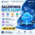 Salesforce Data Cloud Training &ndash; New Batch Starts Sep 22!