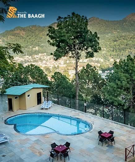 Mumbai, Business, Best Resorts In Jim Corbett For A Luxury Jungle Escape