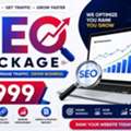 Professional SEO Package ₹6999 Enhance Online Search Visibility | Om Web Digital