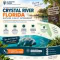 AA Meetings In Crystal River, Florida &ndash; Find Local AA Resources