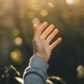 Ibogaine Treatment: Why It Is Not For Everyone