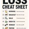Practical Guidance For Sustainable Diet And Weight Loss Tips