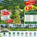 THB 1350000,  6 BR,  169 Sq. Feet,  มาแล้วที่เนินแปลงเล็กที่รอคอย 169 ต
