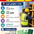 Shuttering Carpenter