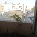 SAR 950,  Dammam Room For Executive Bachelor Near Highway (SEIKO/LULU)