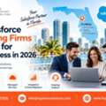 Top Salesforce Consulting Firms In Florida For CRM Success In 2026