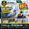 🐦 Professional Bird Control In Jeddah | Protect Your Property