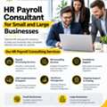 HR Payroll Consultant For Small And Large Businesses