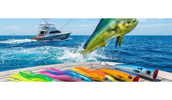 New York, Appliances, USD 14,  Best Mahi Mahi Trolling Lures: Offshore Fishing Selection Guide &mdash; Ballyhood