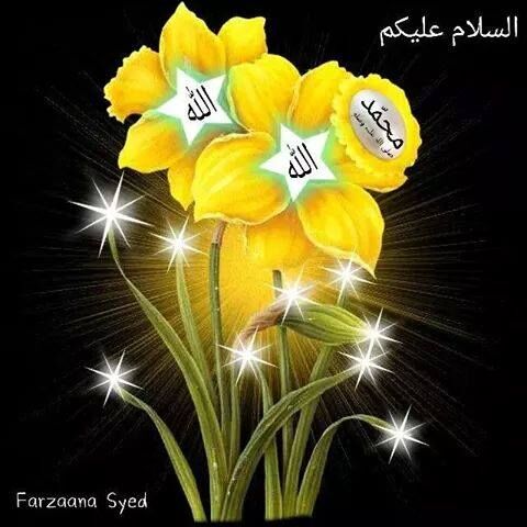 Jeddah, Free Items, SAR 1,  Seasonable Variety FOR SALE