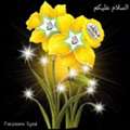 SAR 1, Seasonable Variety FOR SALE