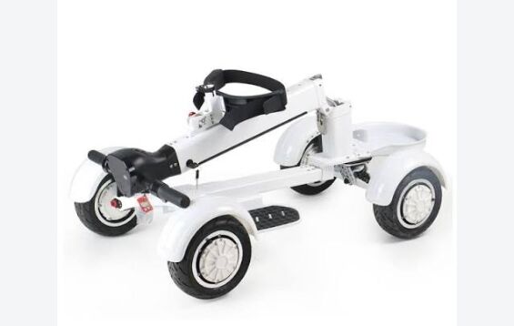 Brunei, Sporting Goods, BND 500,  EcoRider G2 E7-1 4Wheel Foldable Golf Electric Skateboard