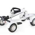 BND 500,  EcoRider G2 E7-1 4Wheel Foldable Golf Electric Skateboard