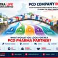 Expand Your Pharma Business With The Right Support