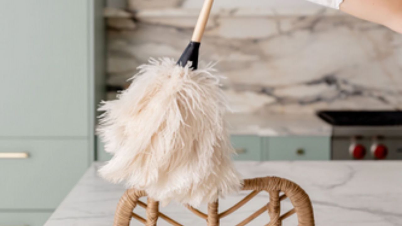 New York, Cleaning, Experience Superior Care With An Outstanding Colorado Cleaning Company