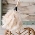 Experience Superior Care With An Outstanding Colorado Cleaning Company
