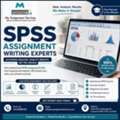 SPSS Assignment Support For Accurate Data Analysis