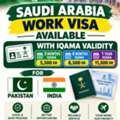 Freelancer Visa Available For Saudi Arabia