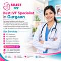 Best IVF Specialist In Gurgaon