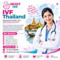 IVF Thailand