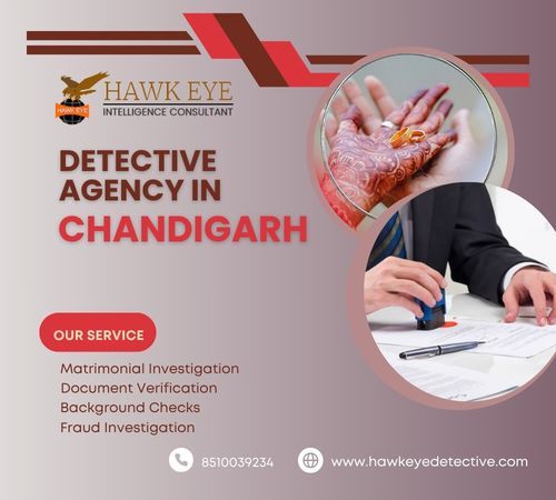 Chandigarh, Legal, Detective Agency In Chandigarh Trusted Services - Hawkeye Detective