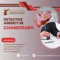 Detective Agency In Chandigarh Trusted Services - Hawkeye Detective