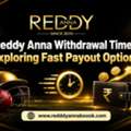 Reddy Anna Withdrawal Times: Exploring Fast Payout Options