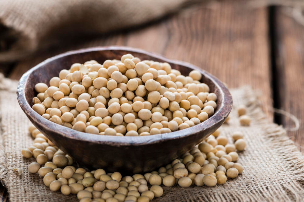 Toronto, Farm & Garden, CAD 45,  Soybean Leaves Turning Yellow? Shop Soybean Nutrients For Better Support