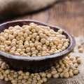 CAD 45,  Soybean Leaves Turning Yellow? Shop Soybean Nutrients For Better Support