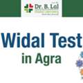 INR 250,  Widal Test For Fever Diagnosis In Agra | ₹250 With Home Collection