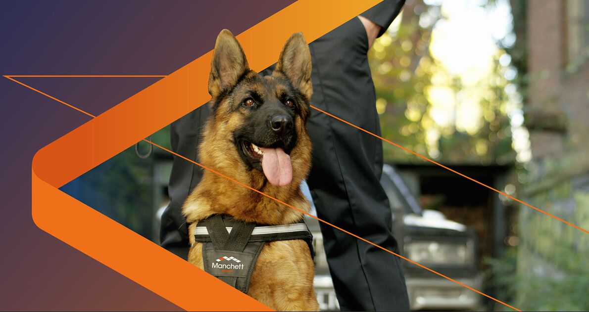 London, Business, Professional K9 Security Services Across The UK