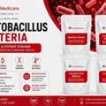 Need Probiotic Ingredients For Your Brand? Request A Quote Today