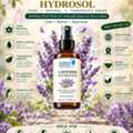 Lavender Hydrosol &ndash; Bulk & Wholesale Supplier From India