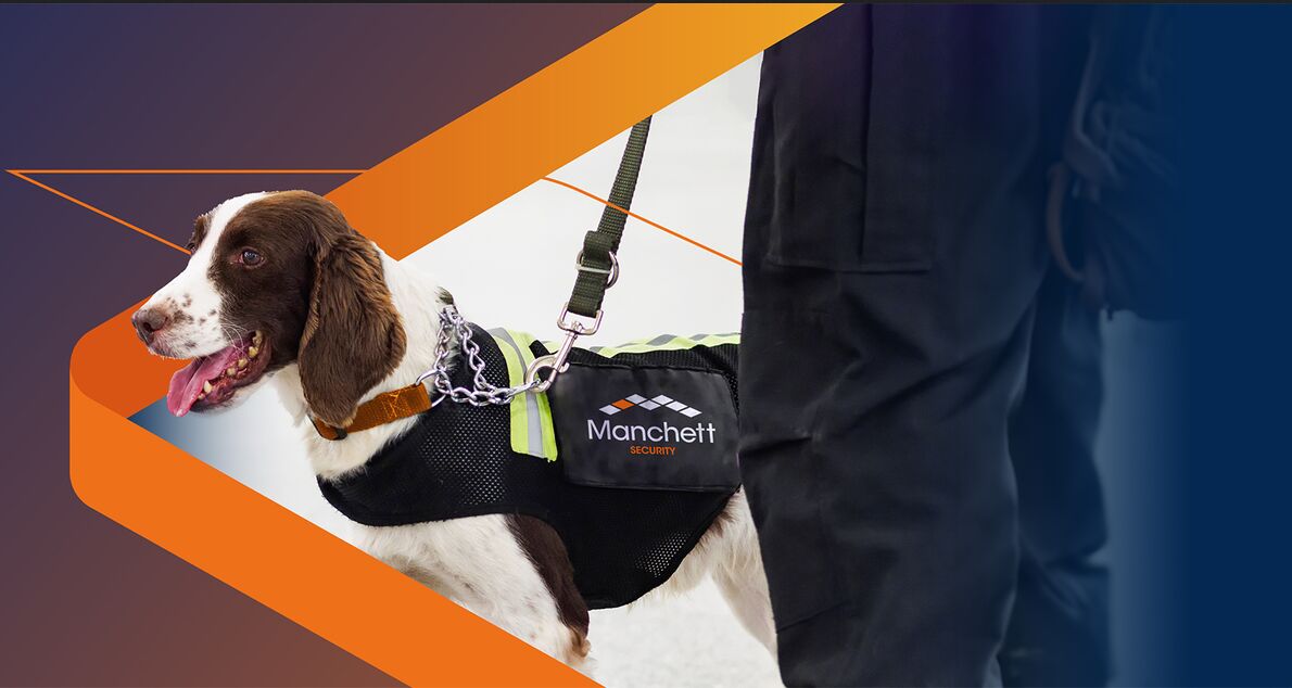 London, Business, Professional Search & Detection Dogs In Essex