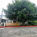 THB 5350000,  3 BR,  72 Sq. Feet,  ขายบ้านเดี่ยวปทุมธานี โครงการ บ้า