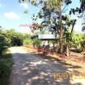 THB 5848000,  6 BR,  1420 Sq. Feet,  ขายโกดังกระบี่ 3 ไร่ 2 งาน 20 ตารางวา ตำ