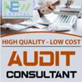 Consulting And Taxation Audit Registration