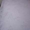 SAR 100,  Floor Low Bed