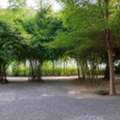THB 1490000,  6 BR,  123 Sq. Feet,  ขายที่ดินเปล่า 123.2 ตร.ว. (แปลงC) คานหาม อุ