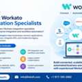 USD 20000, Expert Workato Integration Specialists