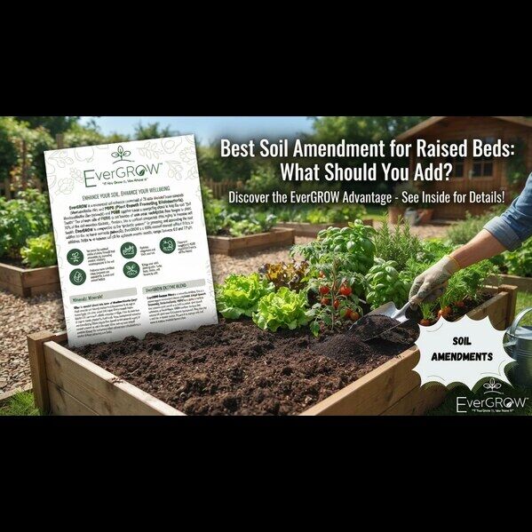 New York, Household Items, USD 15,  Best Soil Amendment For Raised Beds &ndash; EverGROW Soil