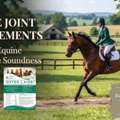 Horse Joint Supplements: Guide To Equine Mobility & Soundness &ndash; Evergreen Equine