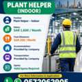 URGENT JOB VACANCY &ndash; PLANT HELPER (INDOOR)