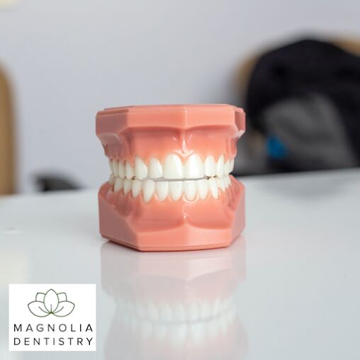 New York, Health, Magnolia Dentistry