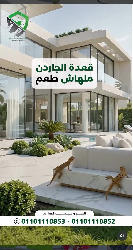 Nasr City, Pest Control, مكافحة أبراص دخول فصل الشتا | مع الشركة الال