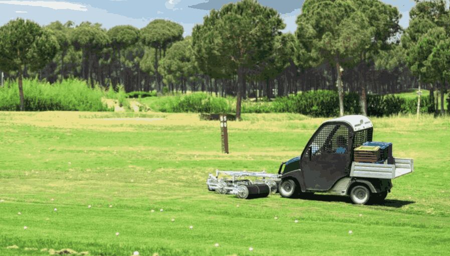 New York, Business, Golf Course Sod For Sale In Florida: Premium Turf For Fairways
