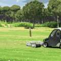 Golf Course Sod For Sale In Florida: Premium Turf For Fairways