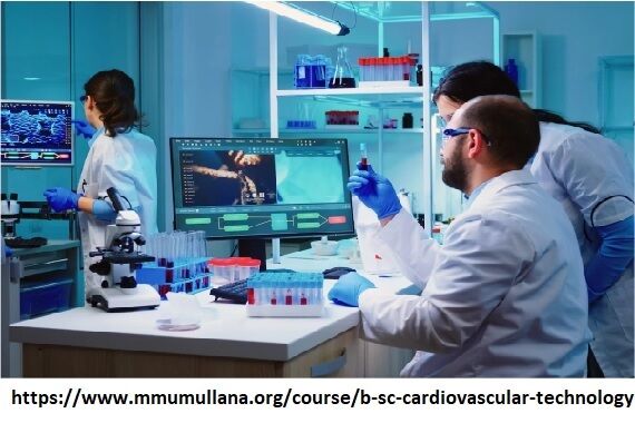 Haryana, Education, Bsc Cardiovascular Technology Subjects