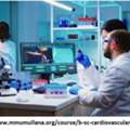 Bsc Cardiovascular Technology Subjects