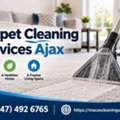 Professional Carpet Cleaning Services Ajax For Fresh And Clean Carpets